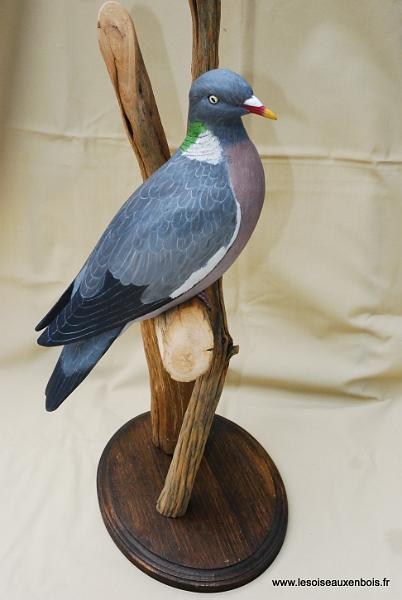 Palombe_ 003-1.jpg